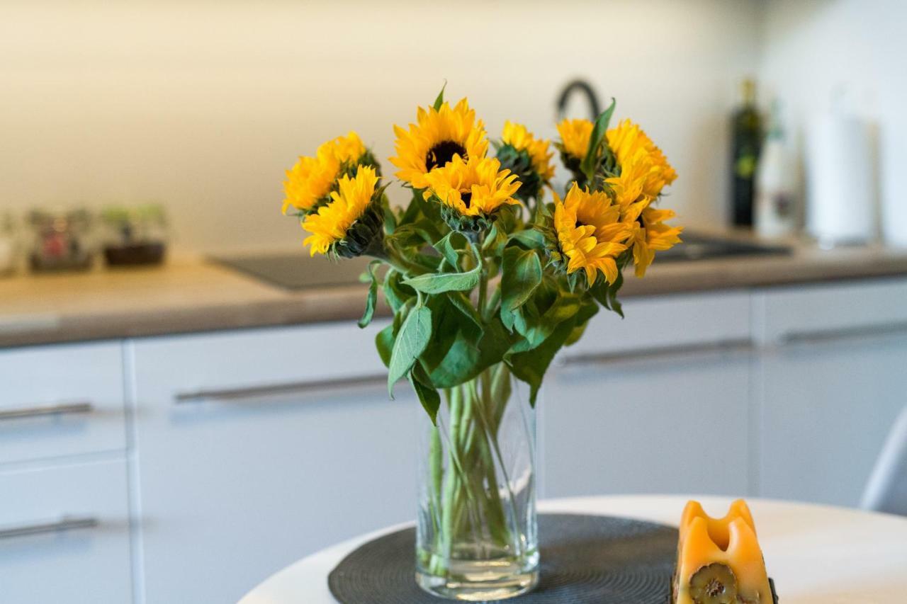 Sunflower Apartment Краков Экстерьер фото